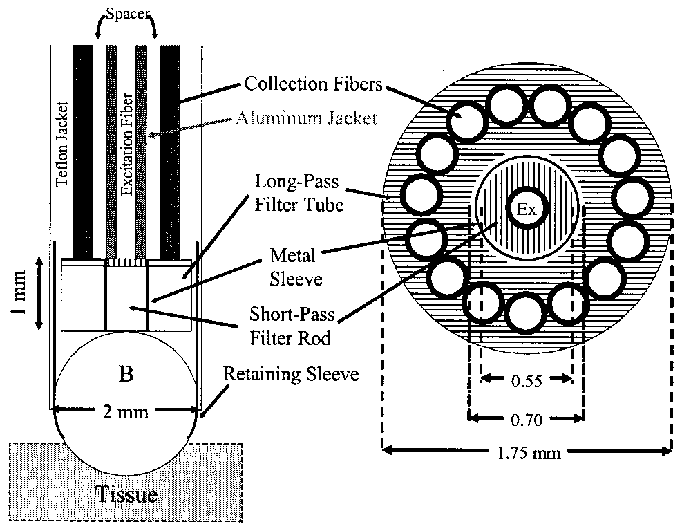 Schematic of the Raman probe tip in longitudinal view and in transverse cross section at the fibre-filter interface.