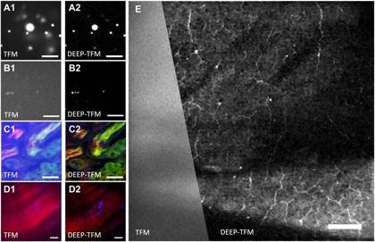 DEEP imaging demonstration