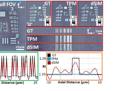dSIM simulation