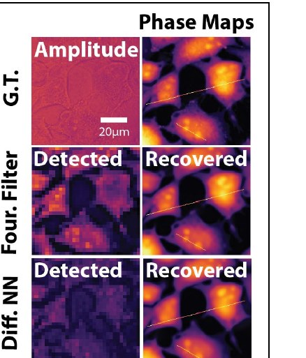 Compressive quantitative-phase imaging