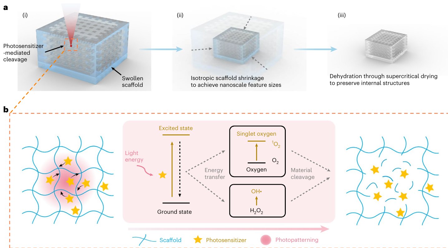ImpCarv process schematic